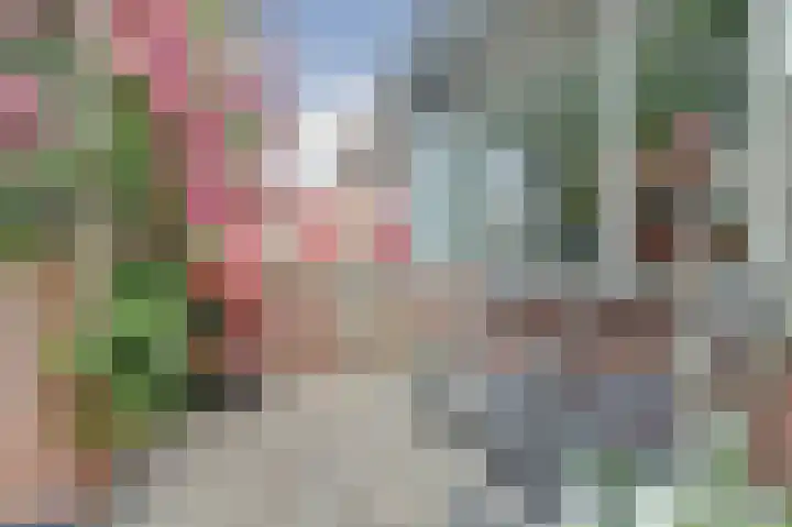 Dorpsstraat 41 Gouderak thumbnail 32