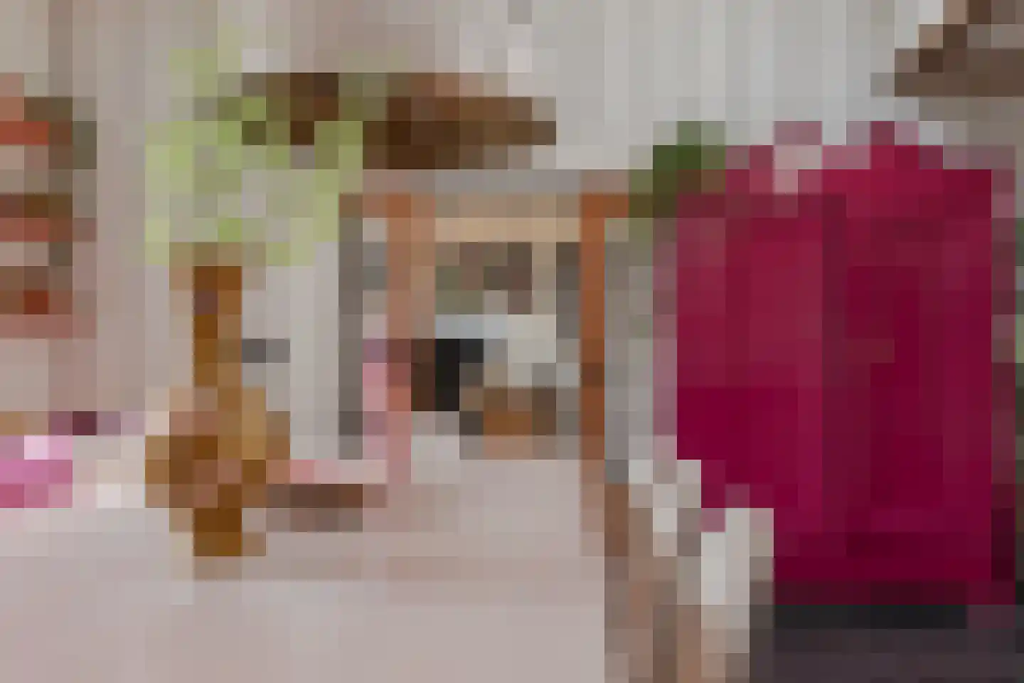 Dorpsstraat 41 Nieuwe Niedorp thumbnail 11