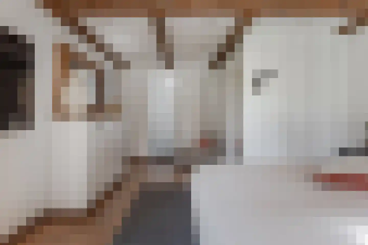 Dorpsstraat 41 Nieuwe Niedorp thumbnail 14