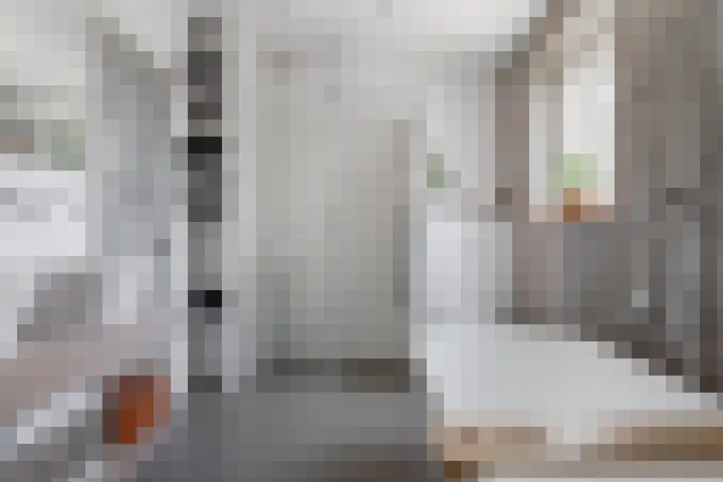 Dorpsstraat 41 Nieuwe Niedorp thumbnail 15