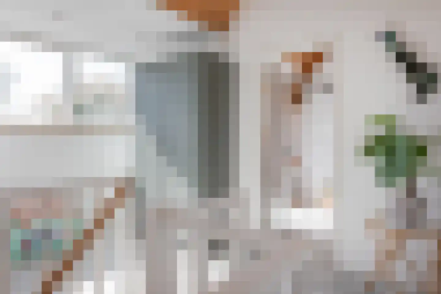 Dorpsstraat 41 Nieuwe Niedorp thumbnail 19