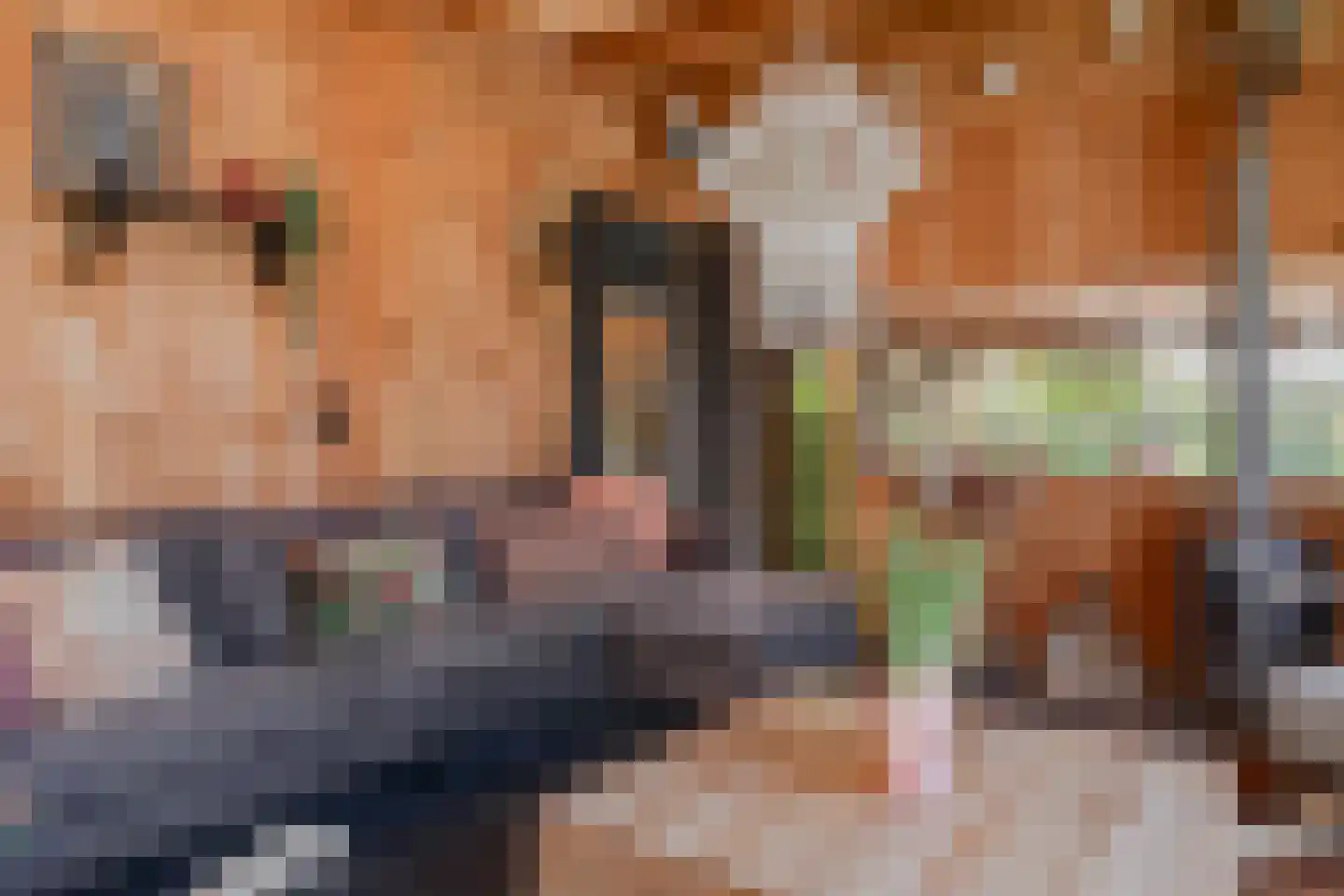 Dorpsstraat 41 Nieuwe Niedorp thumbnail 22