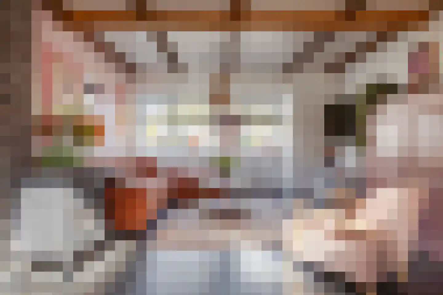 Dorpsstraat 41 Nieuwe Niedorp thumbnail 5