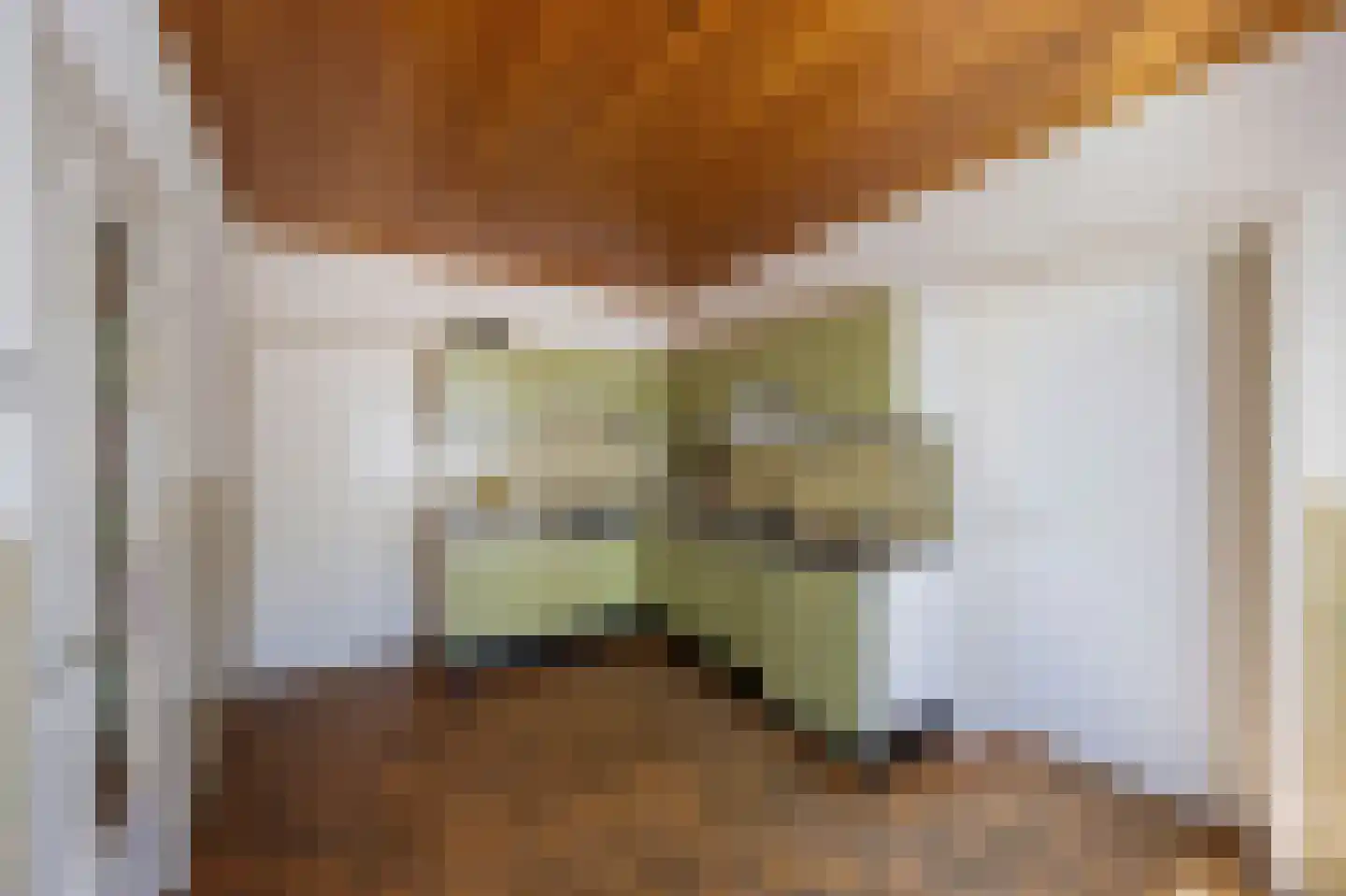 Dorpsstraat 41 Ohé en Laak thumbnail 15