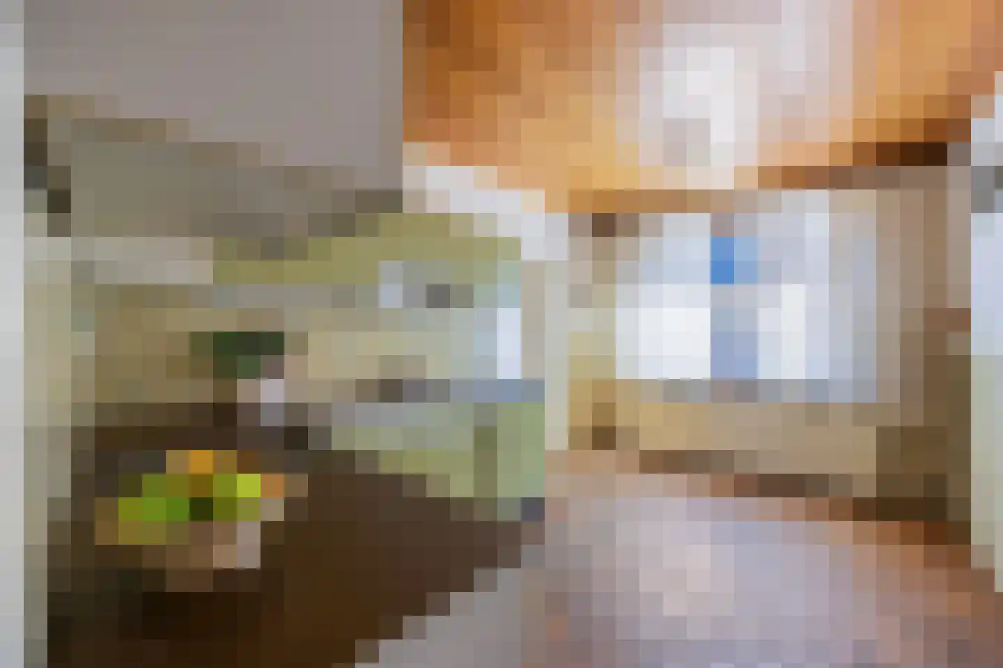 Dorpsstraat 41 Ohé en Laak thumbnail 17