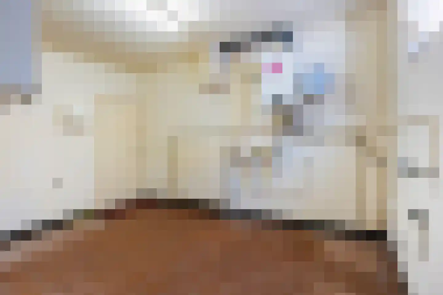 Dorpsstraat 41 Ohé en Laak thumbnail 20