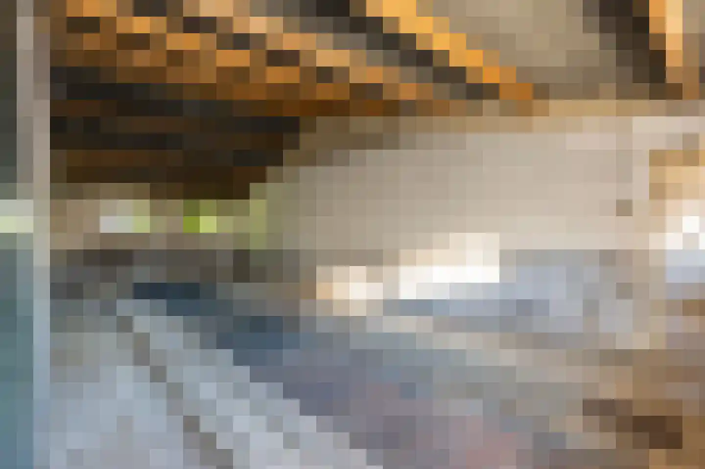 Dorpsstraat 41 Ohé en Laak thumbnail 33