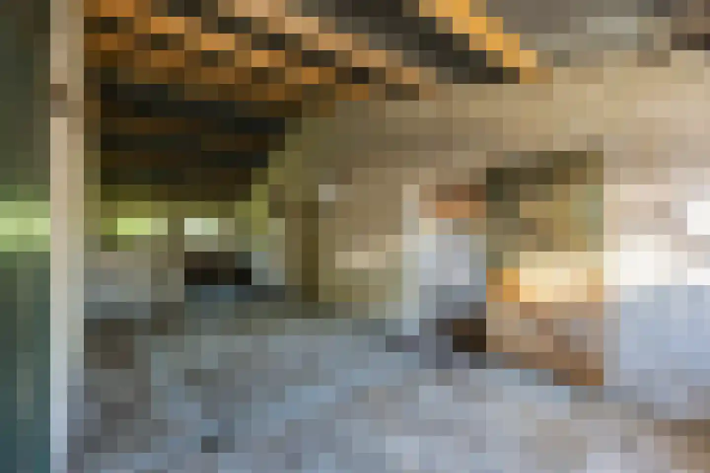 Dorpsstraat 41 Ohé en Laak thumbnail 34