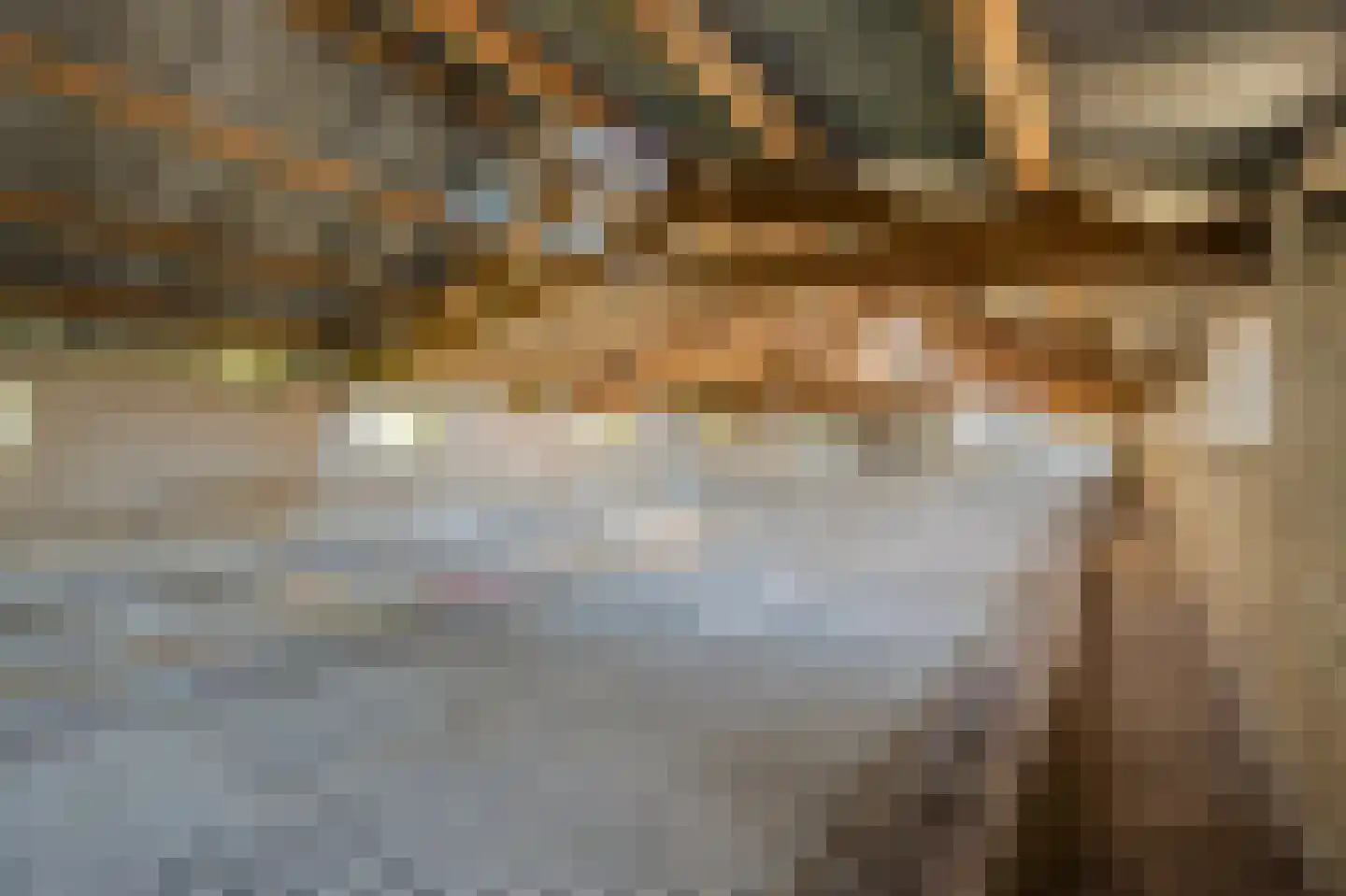 Dorpsstraat 41 Ohé en Laak thumbnail 35