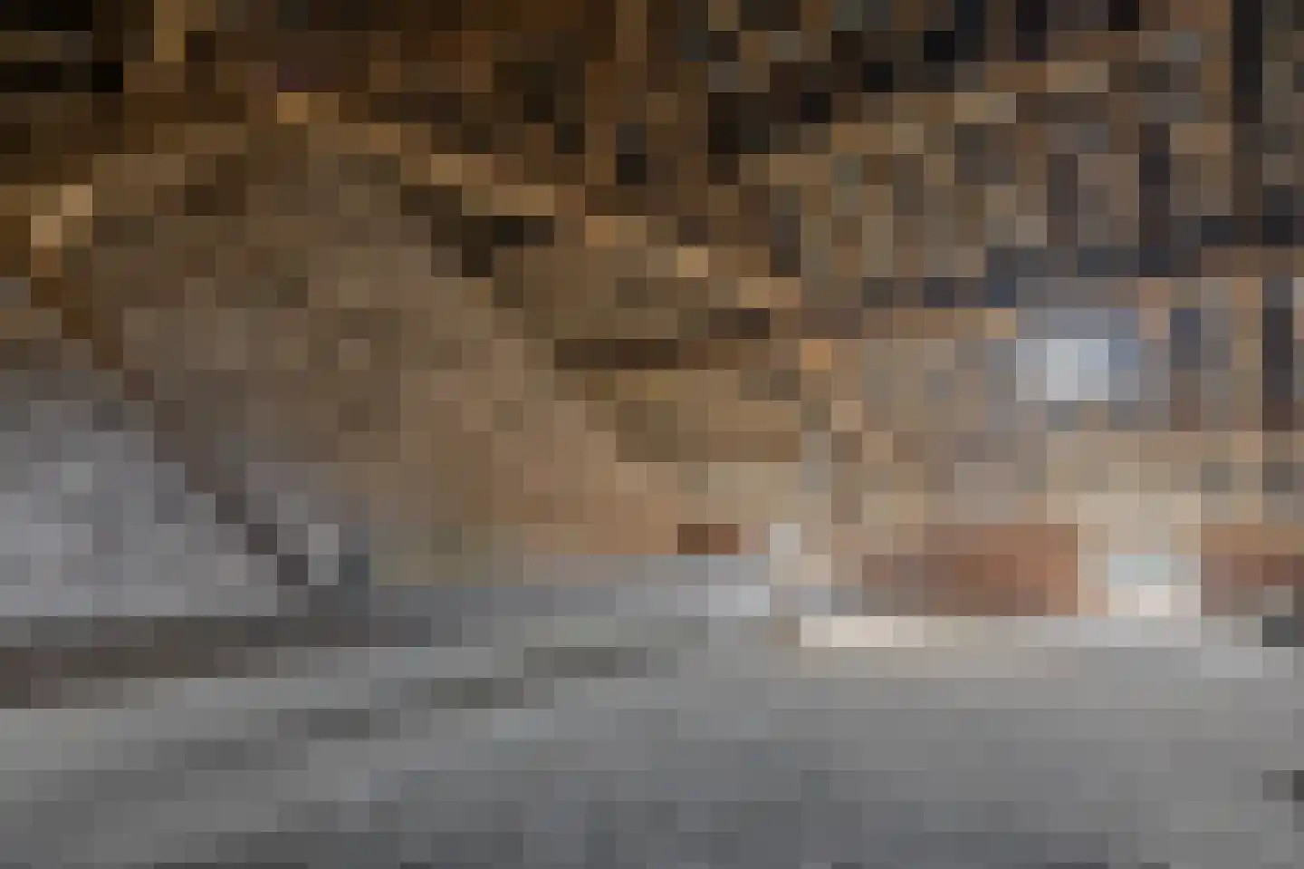 Dorpsstraat 41 Ohé en Laak thumbnail 38