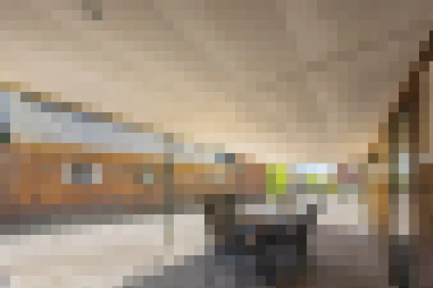 Dorpsstraat 41 Ohé en Laak thumbnail 41