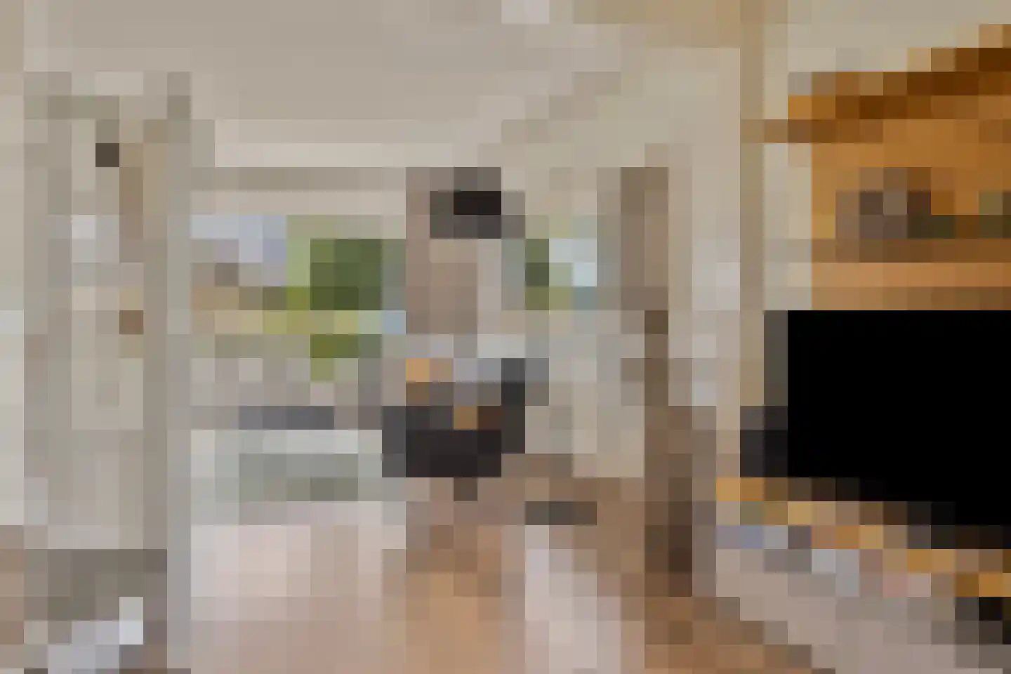Dorpsstraat 41 Retranchement thumbnail 11