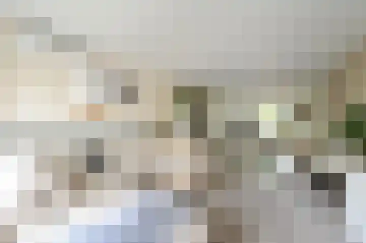 Dorpsstraat 41 Retranchement thumbnail 15