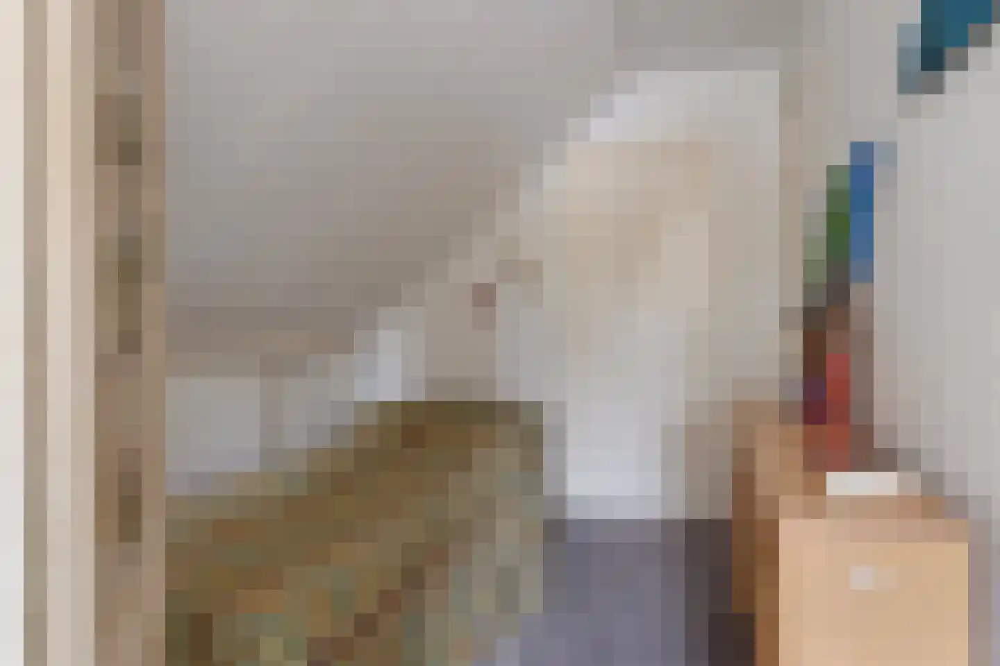 Dorpsstraat 41 Retranchement thumbnail 22