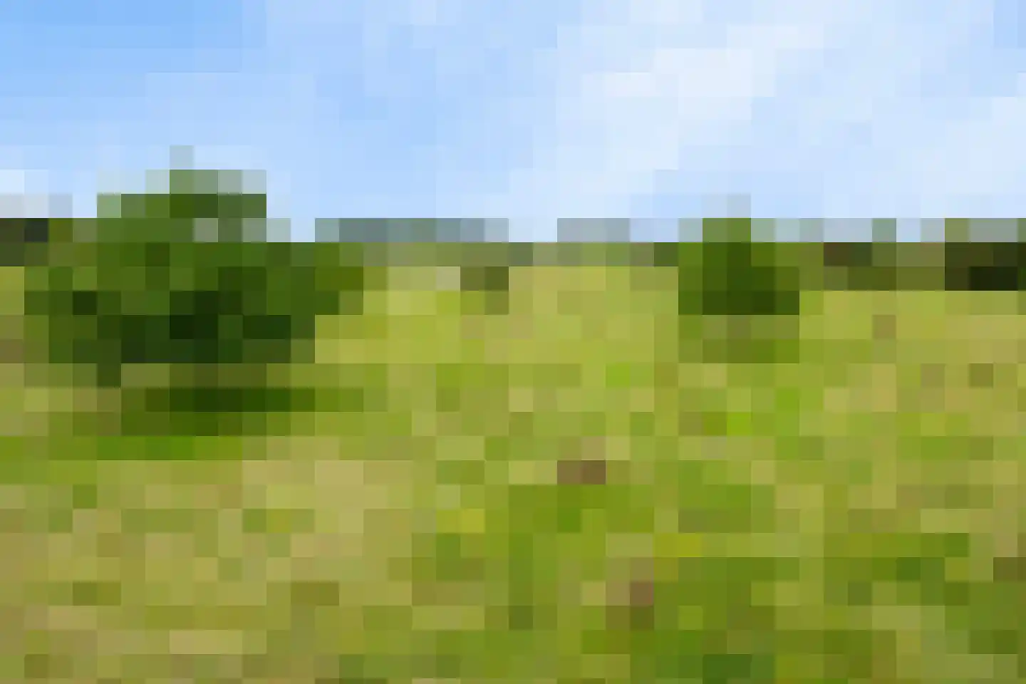 Dorpsstraat 41 Retranchement thumbnail 32