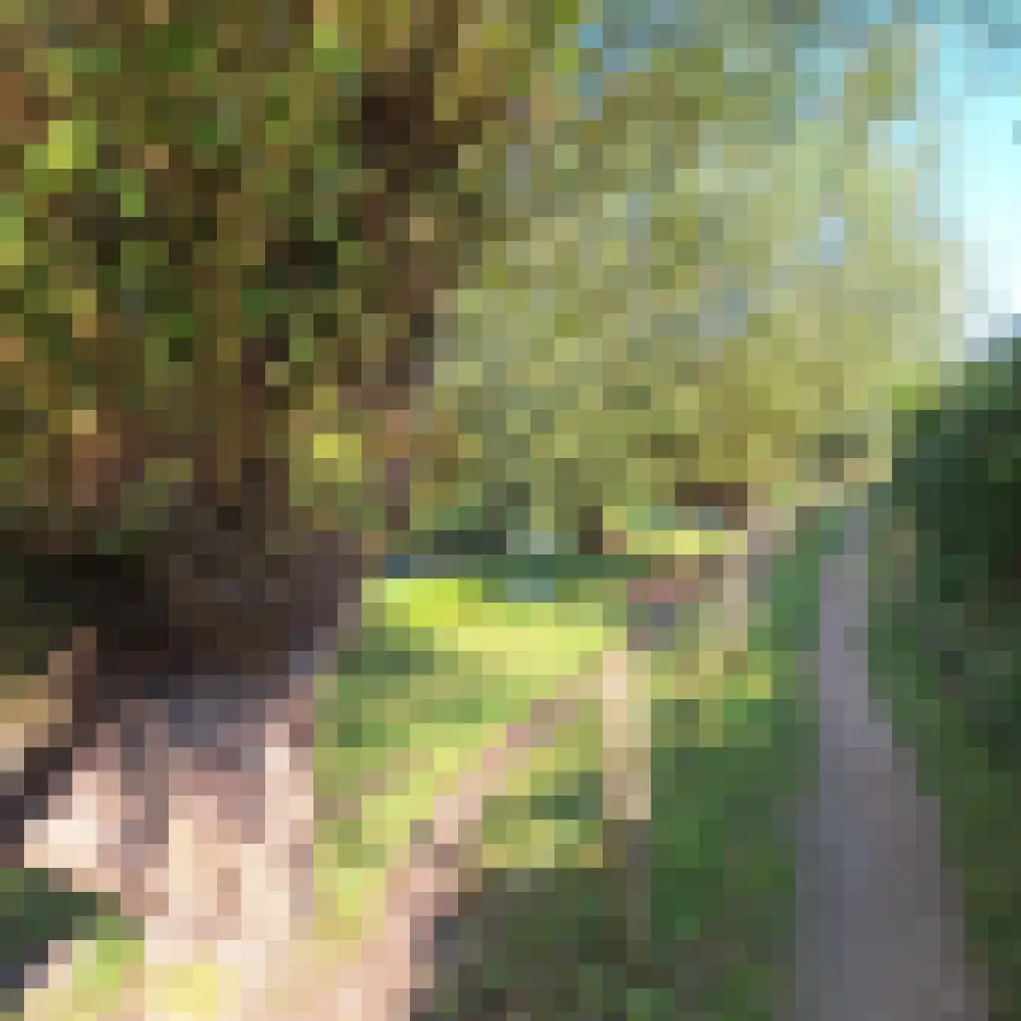 Dorpsstraat 41 Retranchement thumbnail 33