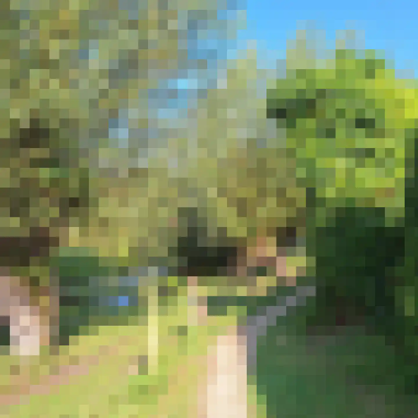 Dorpsstraat 41 Retranchement thumbnail 35