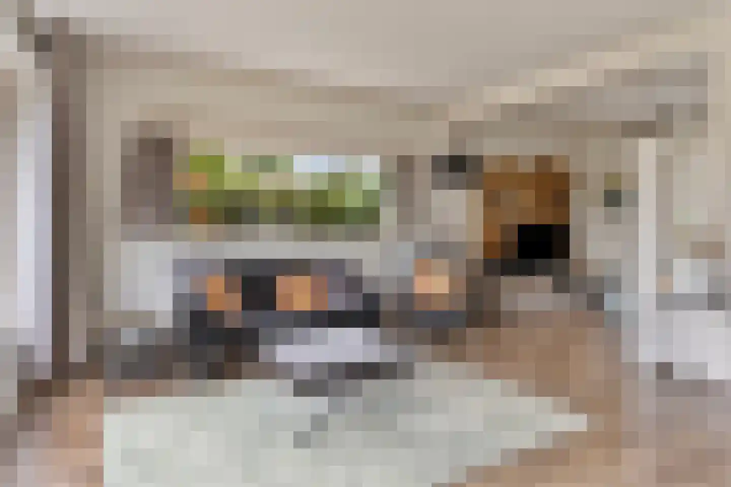 Dorpsstraat 41 Retranchement thumbnail 9