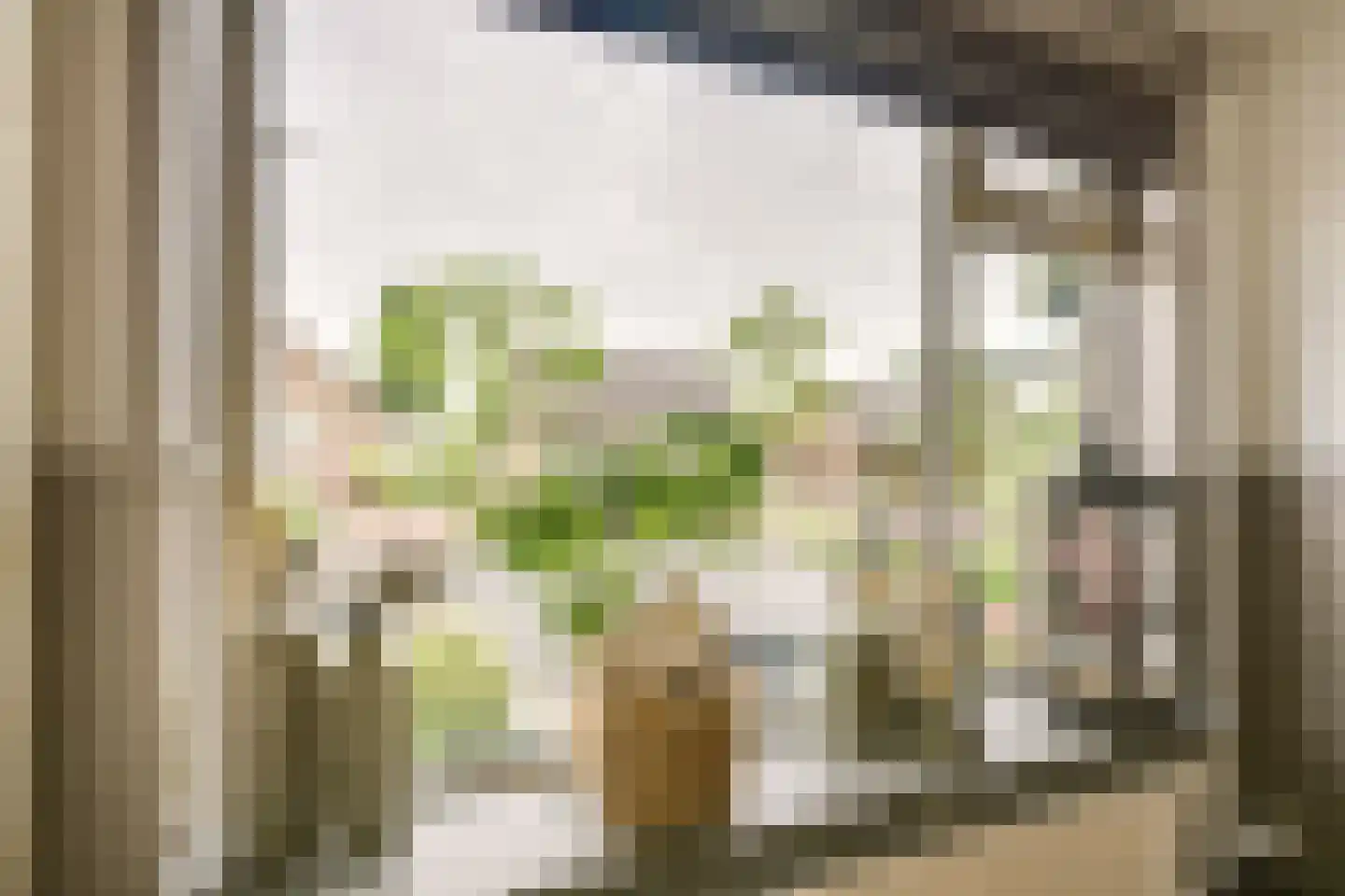 Dorpsstraat 42 d Hagestein thumbnail 13