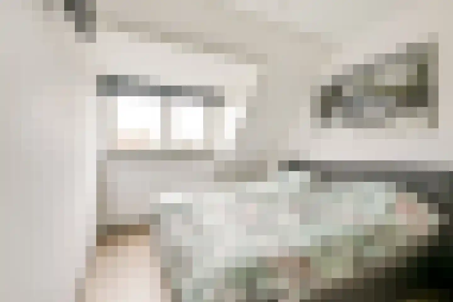 Dorpsstraat 42 d Hagestein thumbnail 32