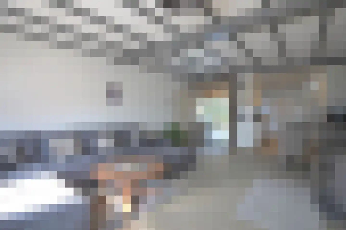Dorpsstraat 42 Heel thumbnail 4