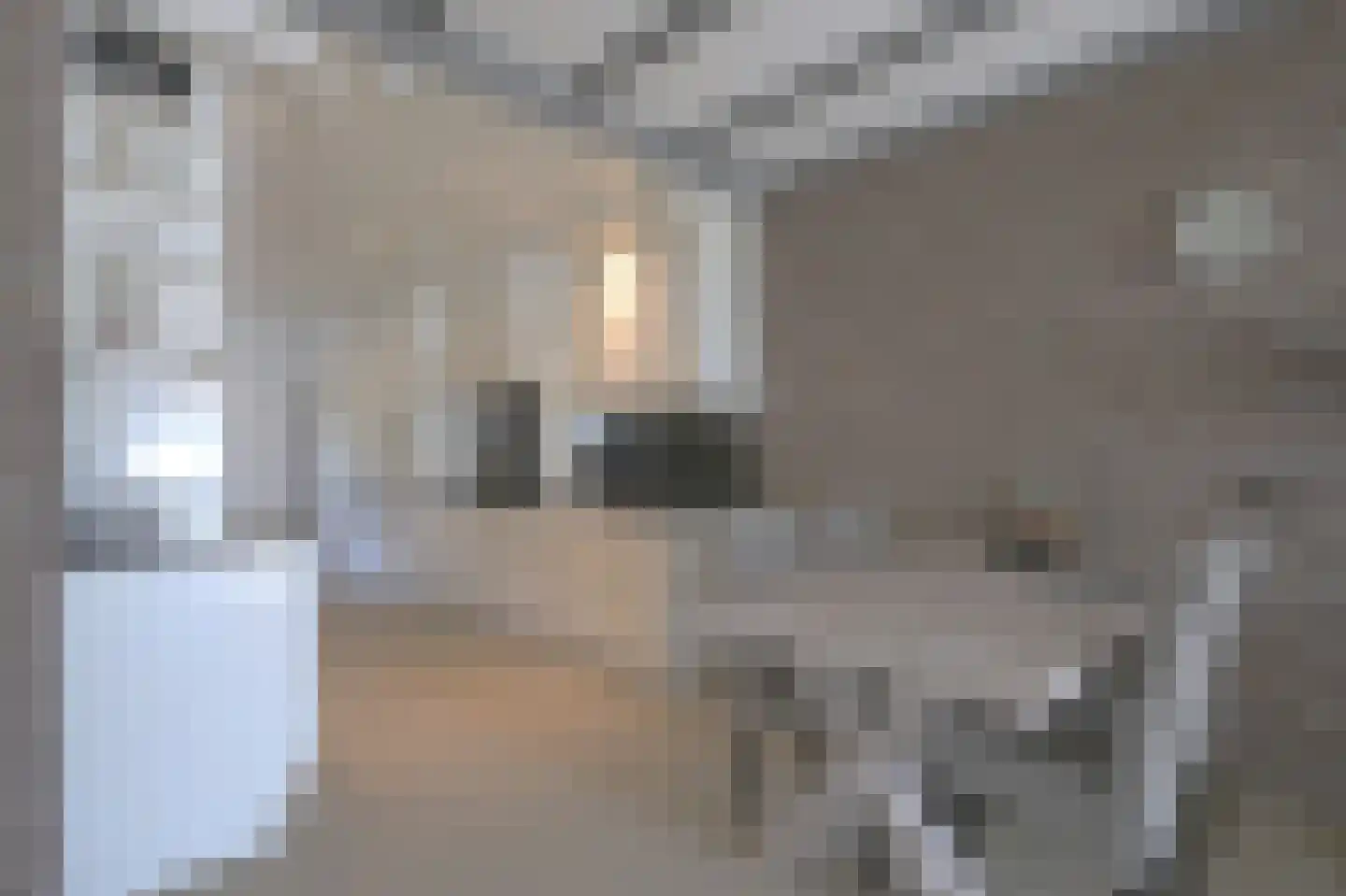Dorpsstraat 42 Heel thumbnail 6