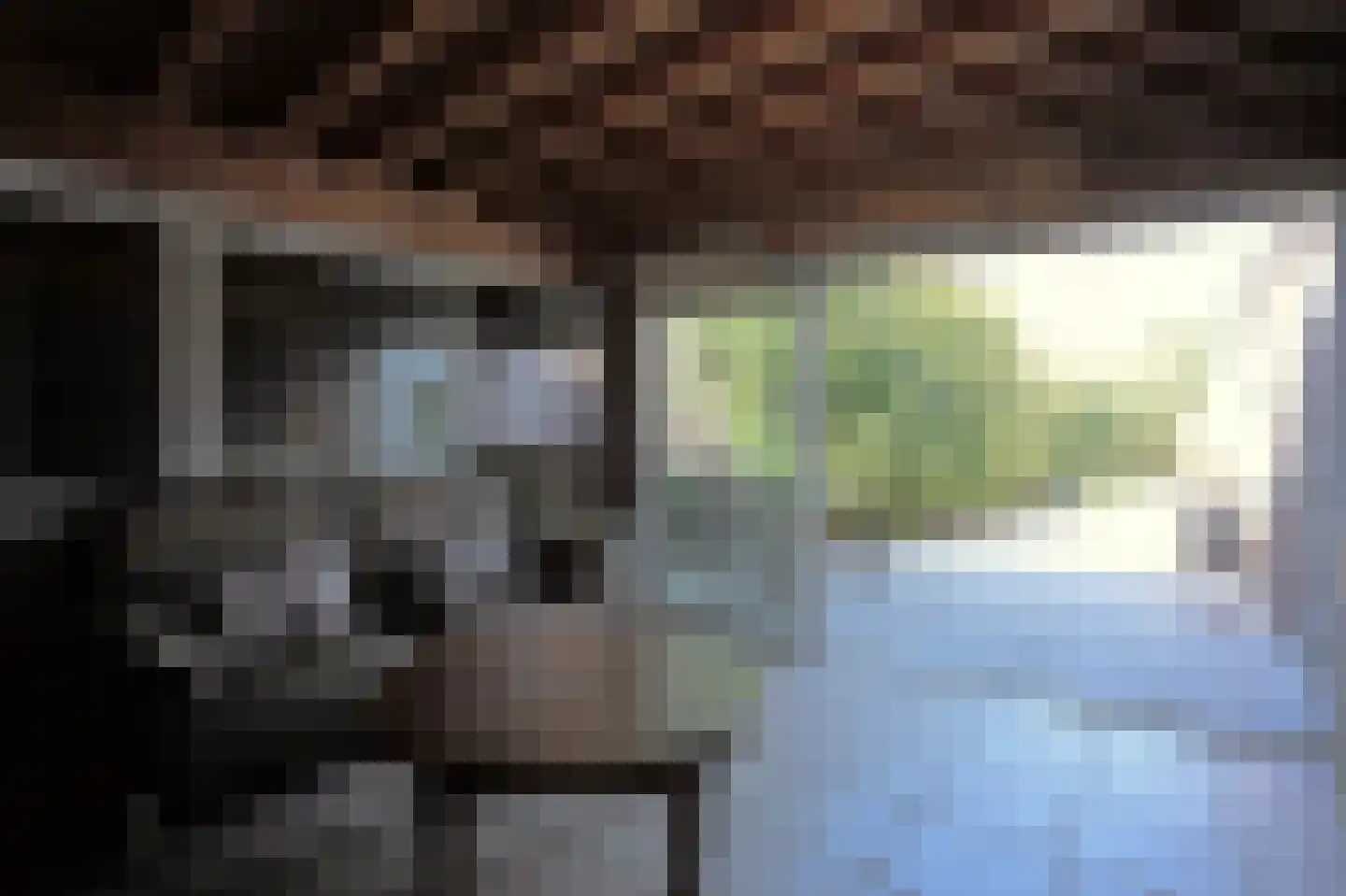 Dorpsstraat 42 Heel thumbnail 9