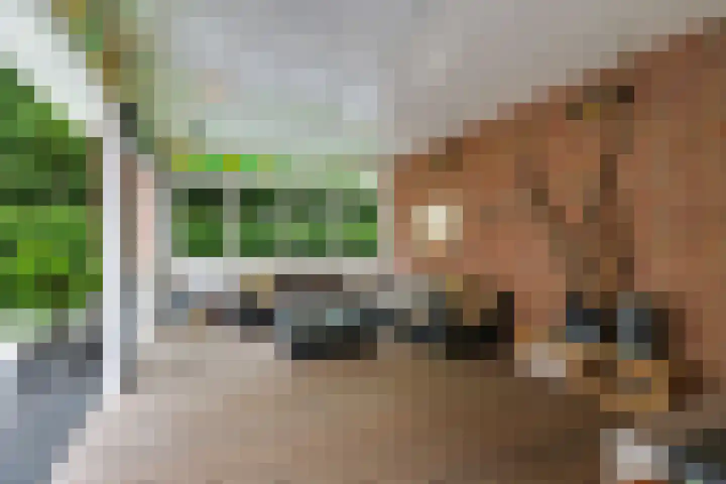 Dorpsstraat 42 Hummelo thumbnail 13