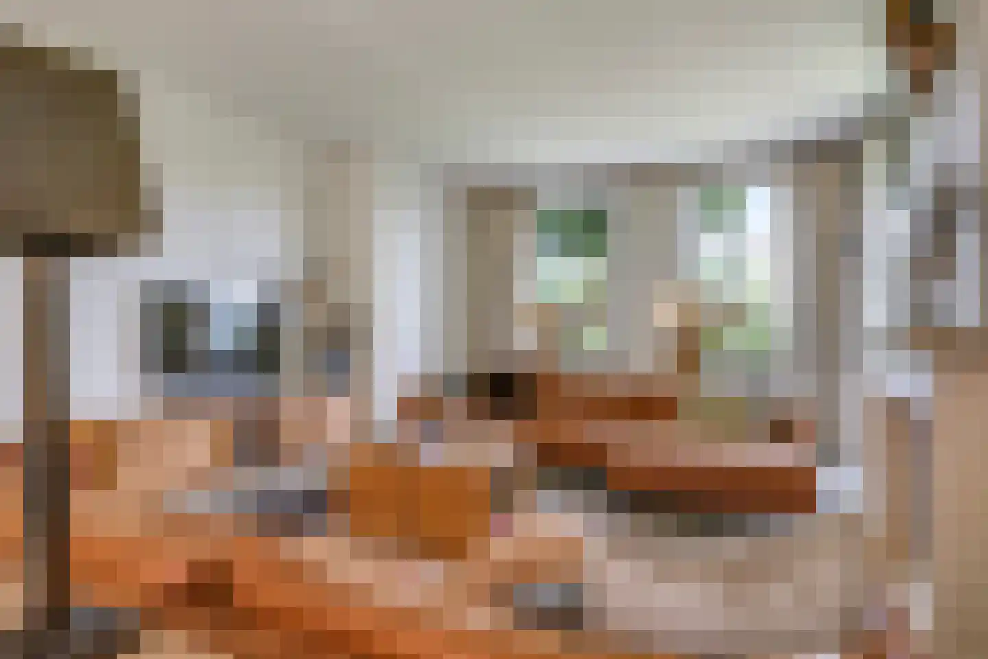 Dorpsstraat 42 Hummelo thumbnail 21
