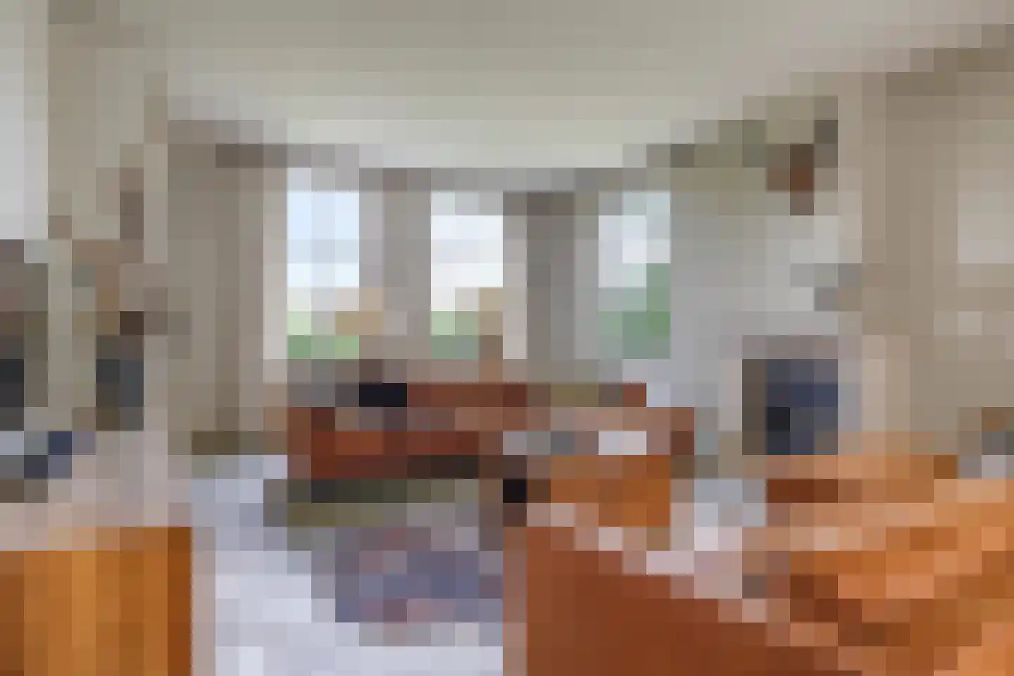 Dorpsstraat 42 Hummelo thumbnail 22