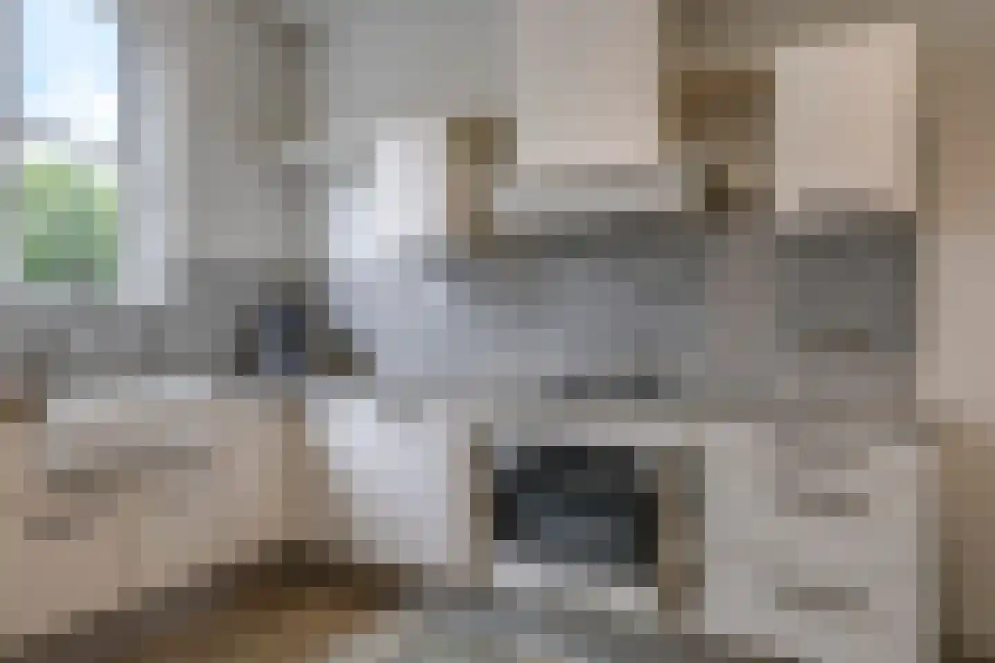 Dorpsstraat 42 Hummelo thumbnail 25