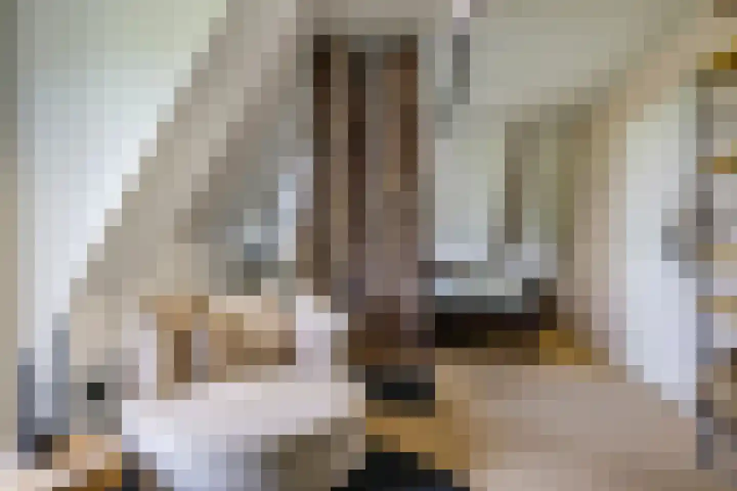 Dorpsstraat 42 Hummelo thumbnail 34