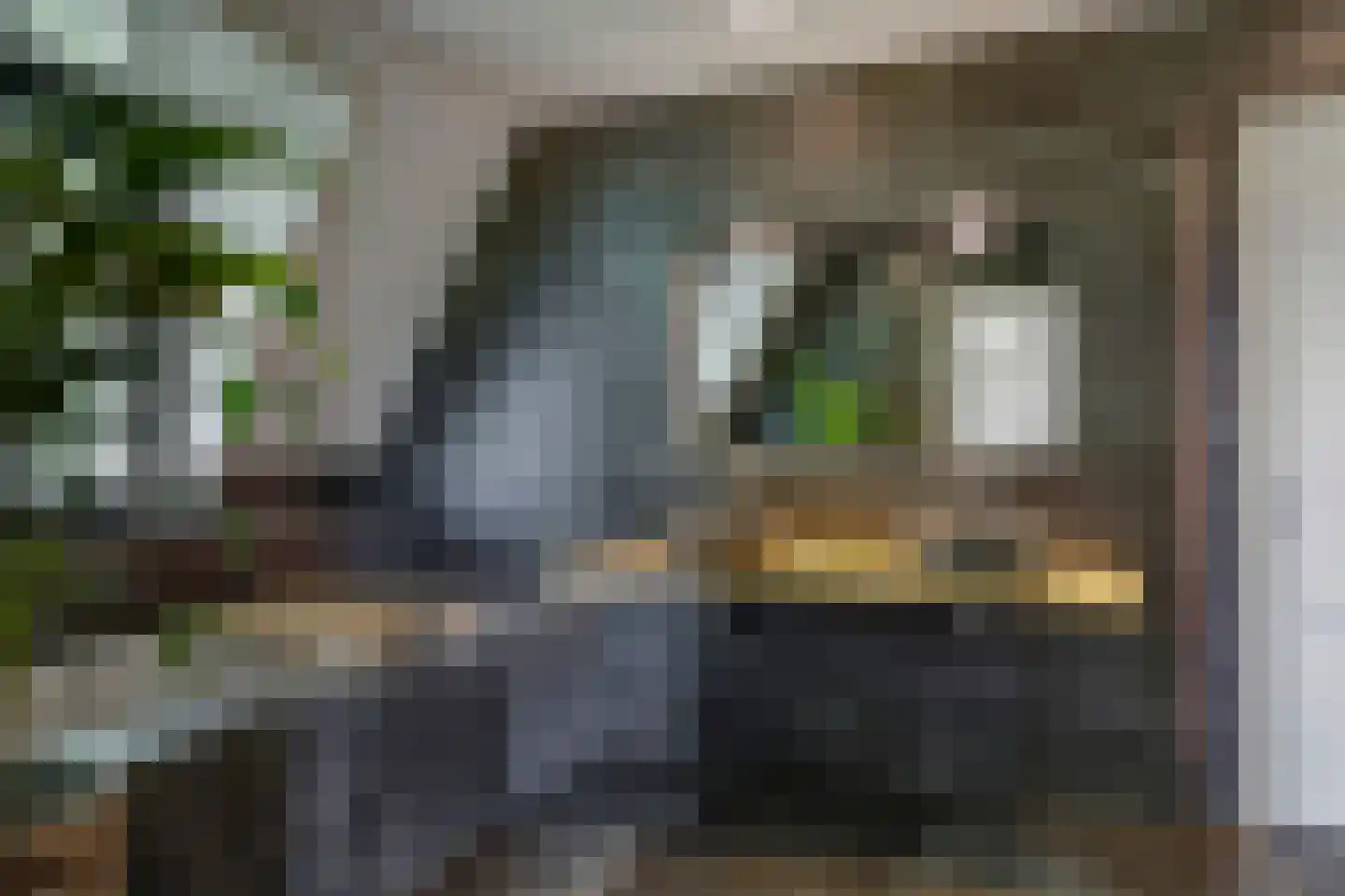 Dorpsstraat 42 Hummelo thumbnail 36