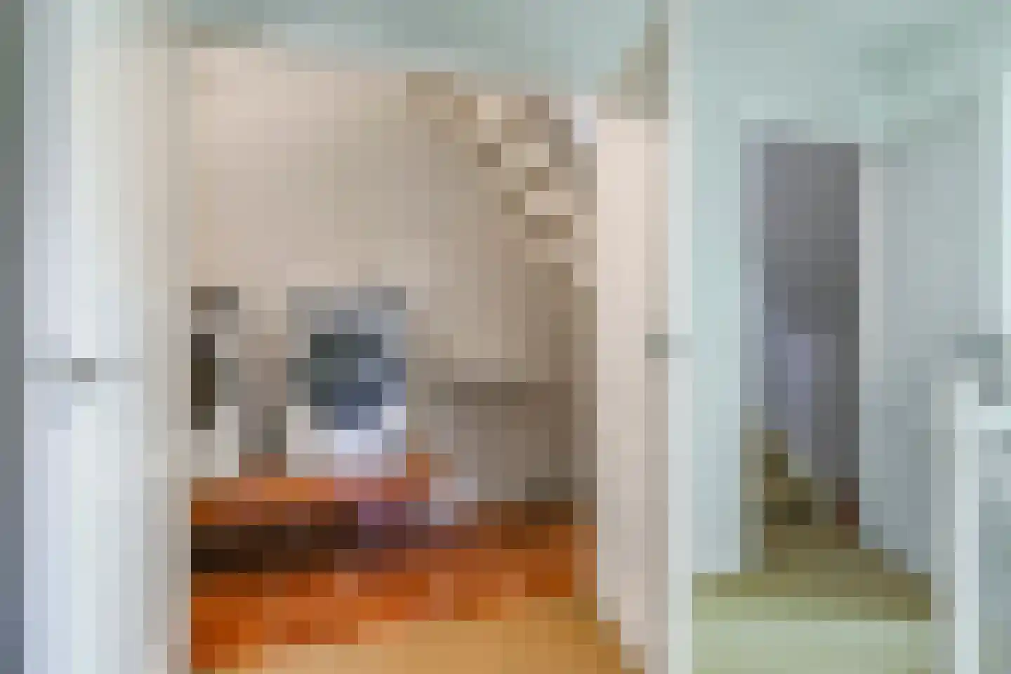 Dorpsstraat 42 Hummelo thumbnail 44