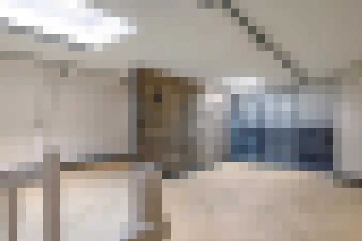 Dorpsstraat 42 Hummelo thumbnail 46