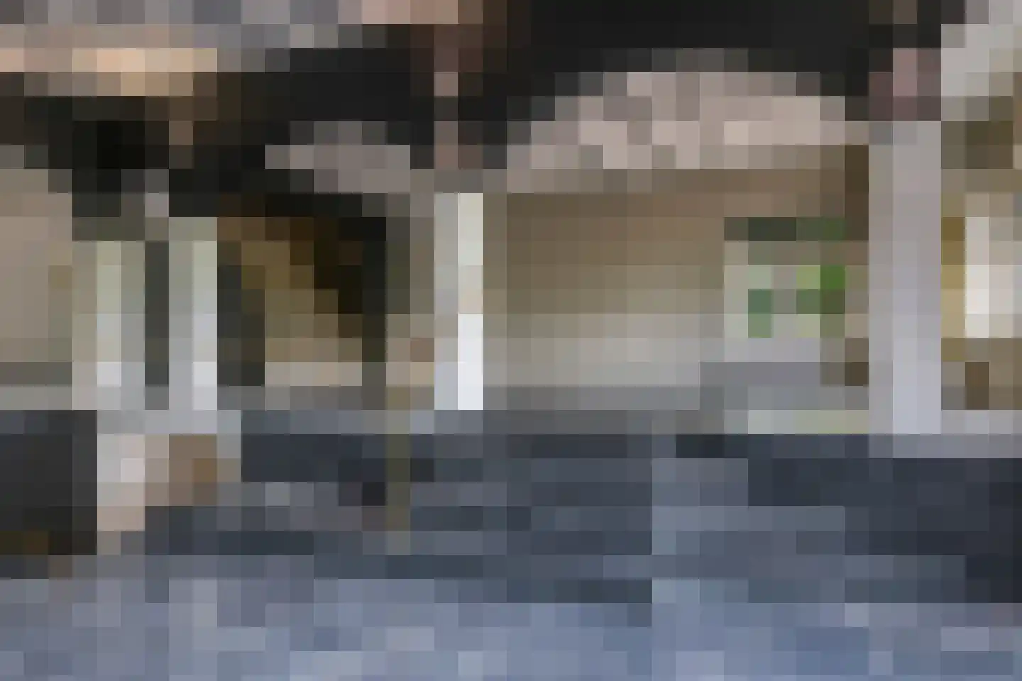 Dorpsstraat 42 Hummelo thumbnail 59