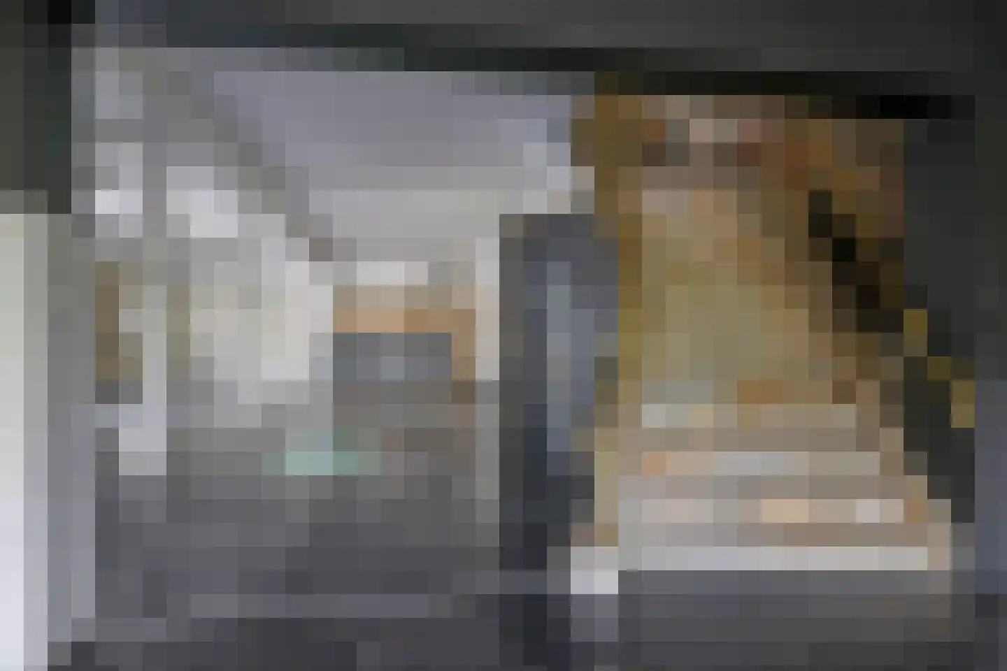 Dorpsstraat 42 Hummelo thumbnail 61