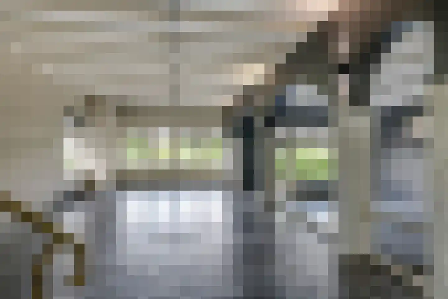 Dorpsstraat 42 Hummelo thumbnail 62