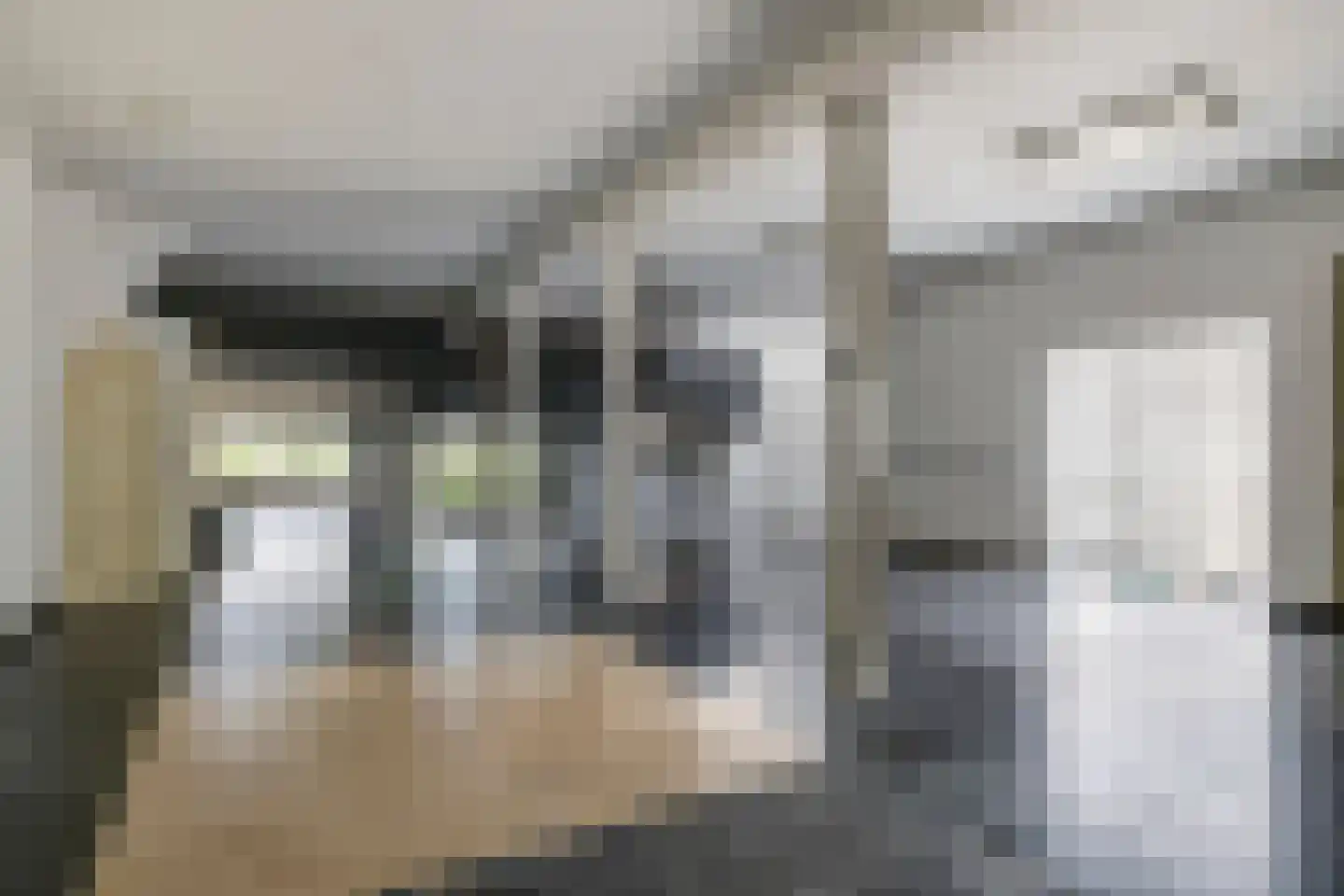 Dorpsstraat 42 Hummelo thumbnail 66