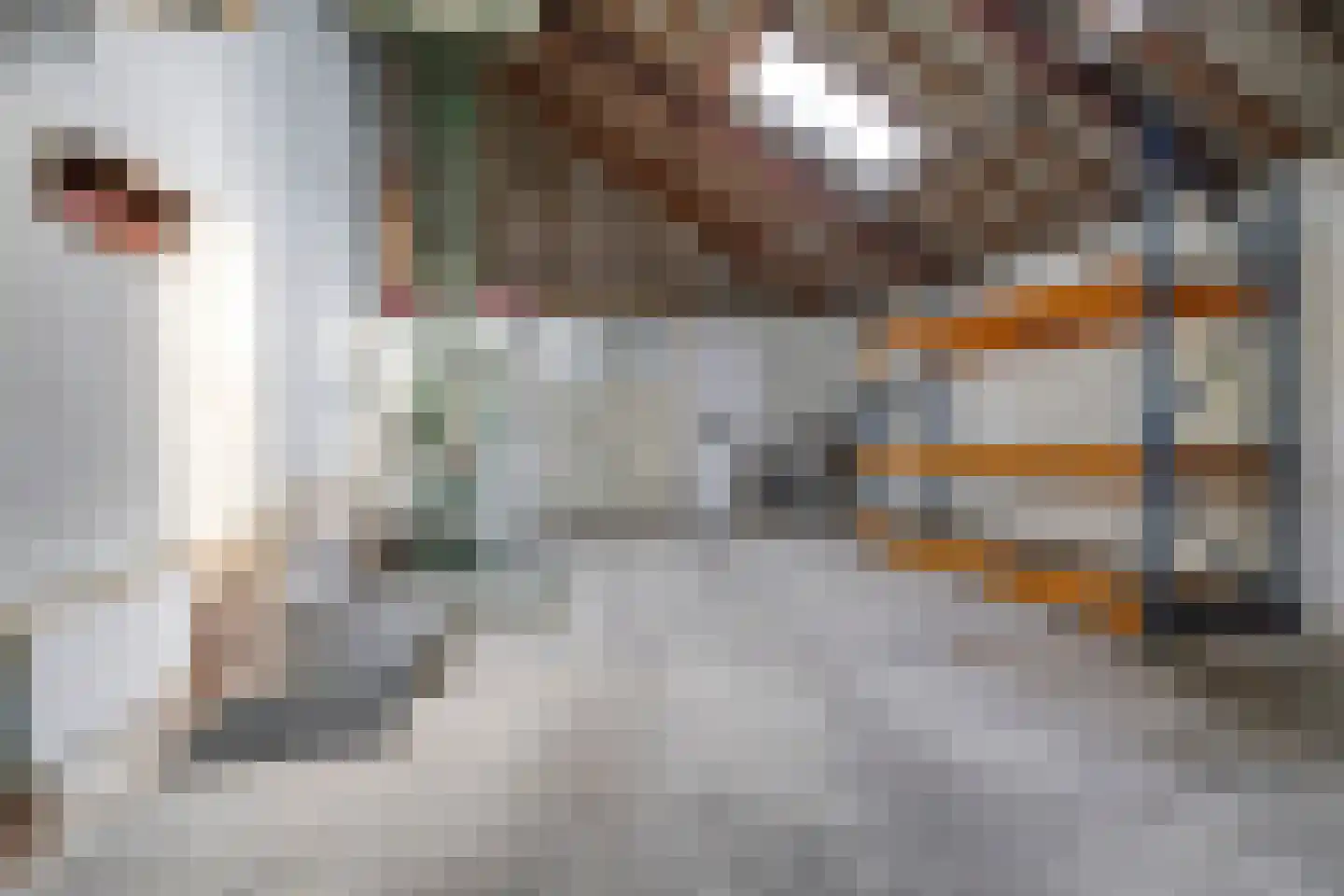 Dorpsstraat 42 Hummelo thumbnail 74