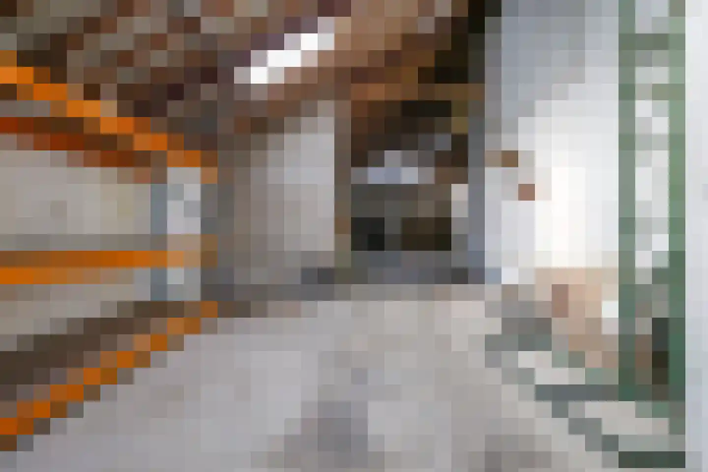 Dorpsstraat 42 Hummelo thumbnail 75