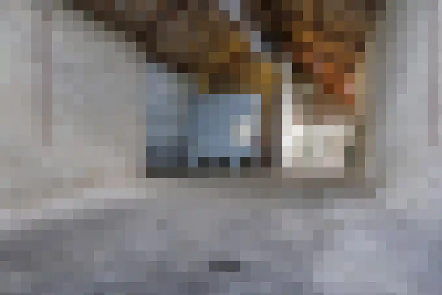 Dorpsstraat 42 Hummelo thumbnail 76