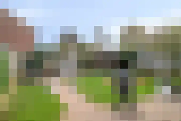 Dorpsstraat 42 Lieshout thumbnail 29
