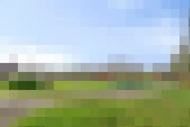 Dorpsstraat 42 Lieshout thumbnail 38