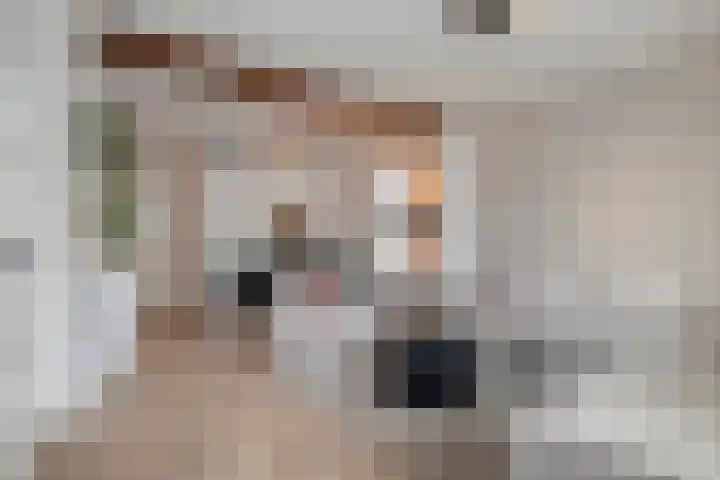 Dorpsstraat 42 Lieshout thumbnail 9