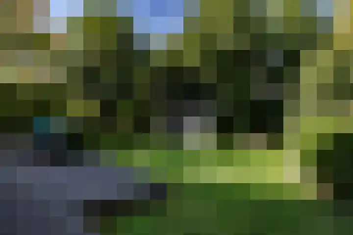 Dorpsstraat 42 Nieuwe Niedorp thumbnail 29