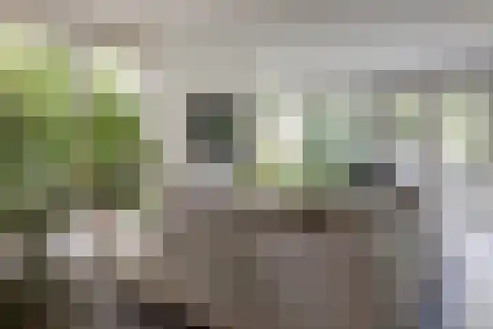 Dorpsstraat 42 Nieuwe Niedorp thumbnail 5