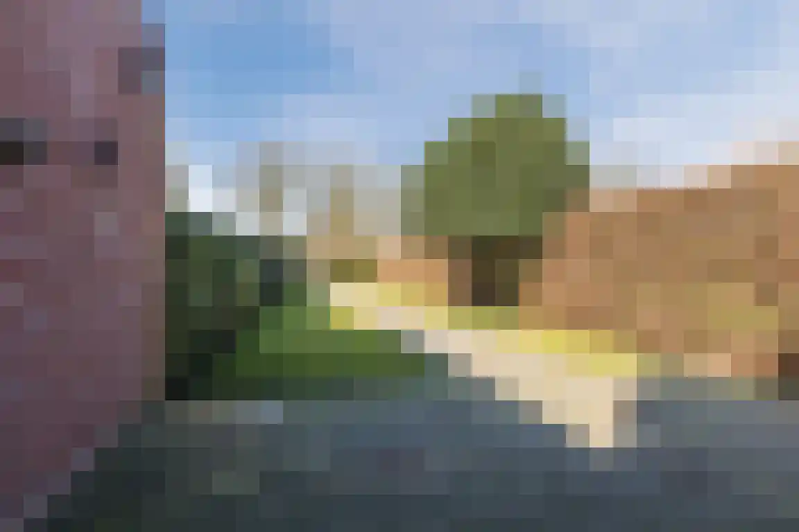 Dorpsstraat 42 Ossendrecht thumbnail 31