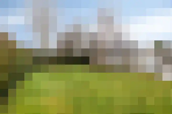 Dorpsstraat 42 Someren thumbnail 30