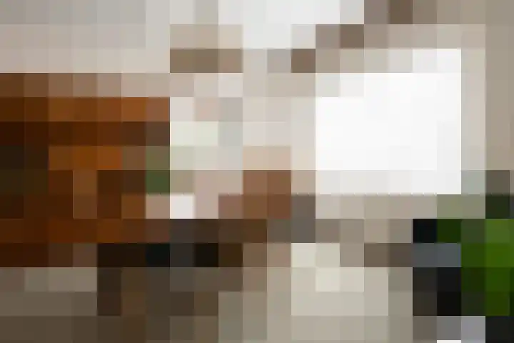 Dorpsstraat 42 Woensdrecht thumbnail 6